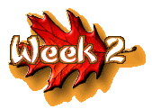 Week 2
