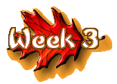 Week 3