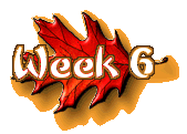 Week 6